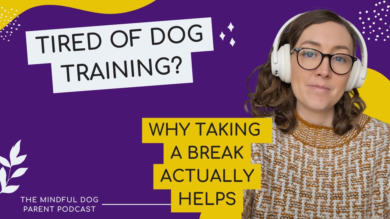 Tired of Dog Training? Here’s Why a Break Might Be Exactly What You Need