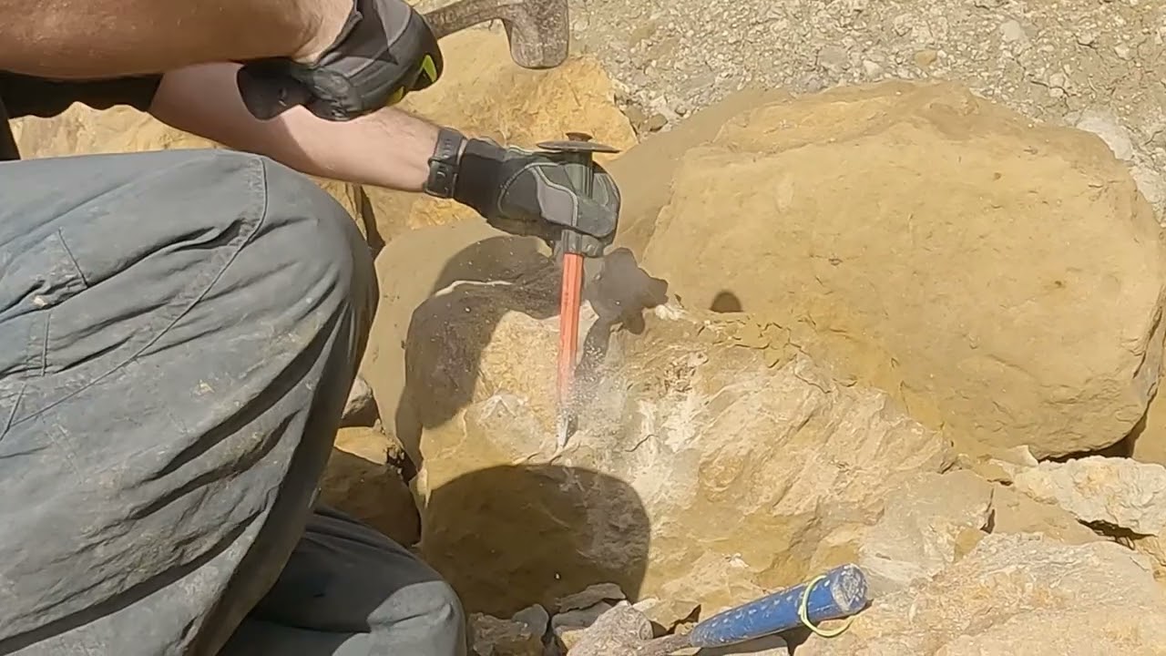 Giant ammonite from Burton Bradstock Lytoceras
