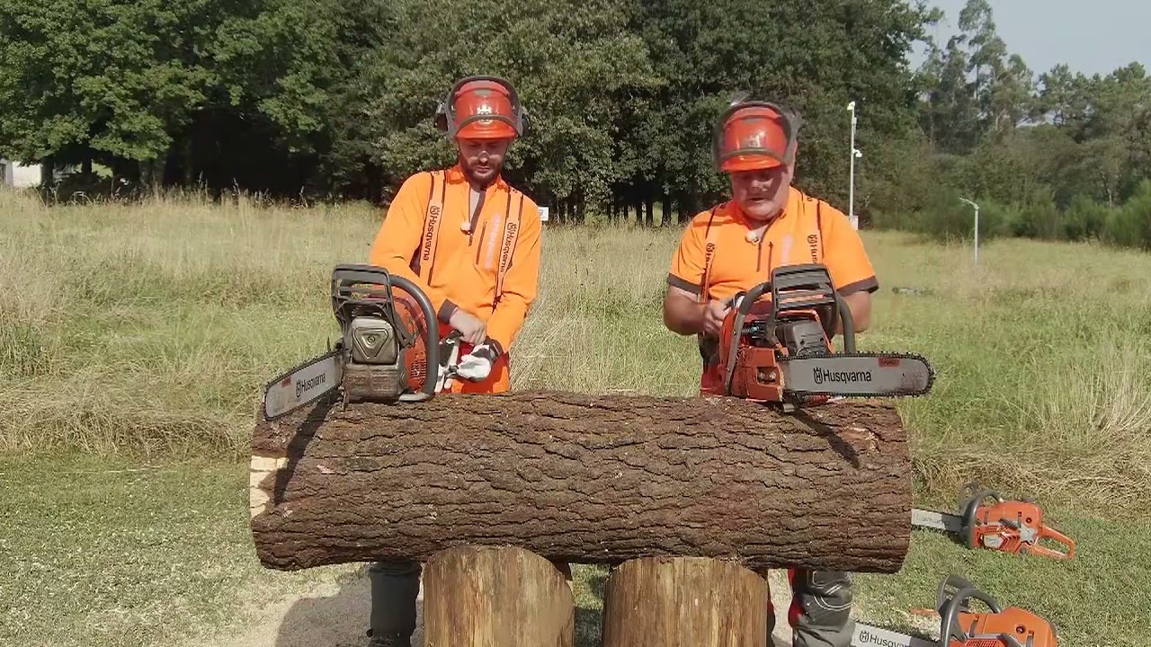 Comparativa 585 y 592 con sus antecesoras