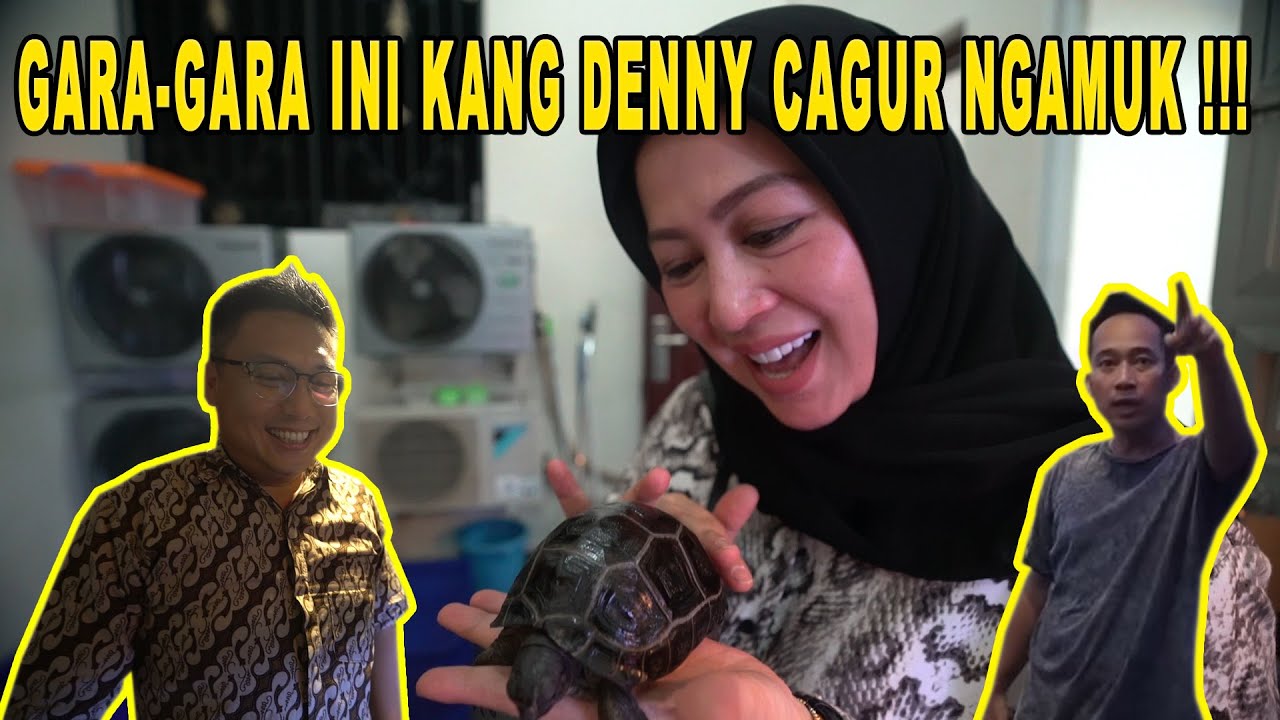 SUPRISE ULANG TAHUN | TEHSHANTY KERJAIN KANG DENNY CAGUR SAMPE EMOSI !!