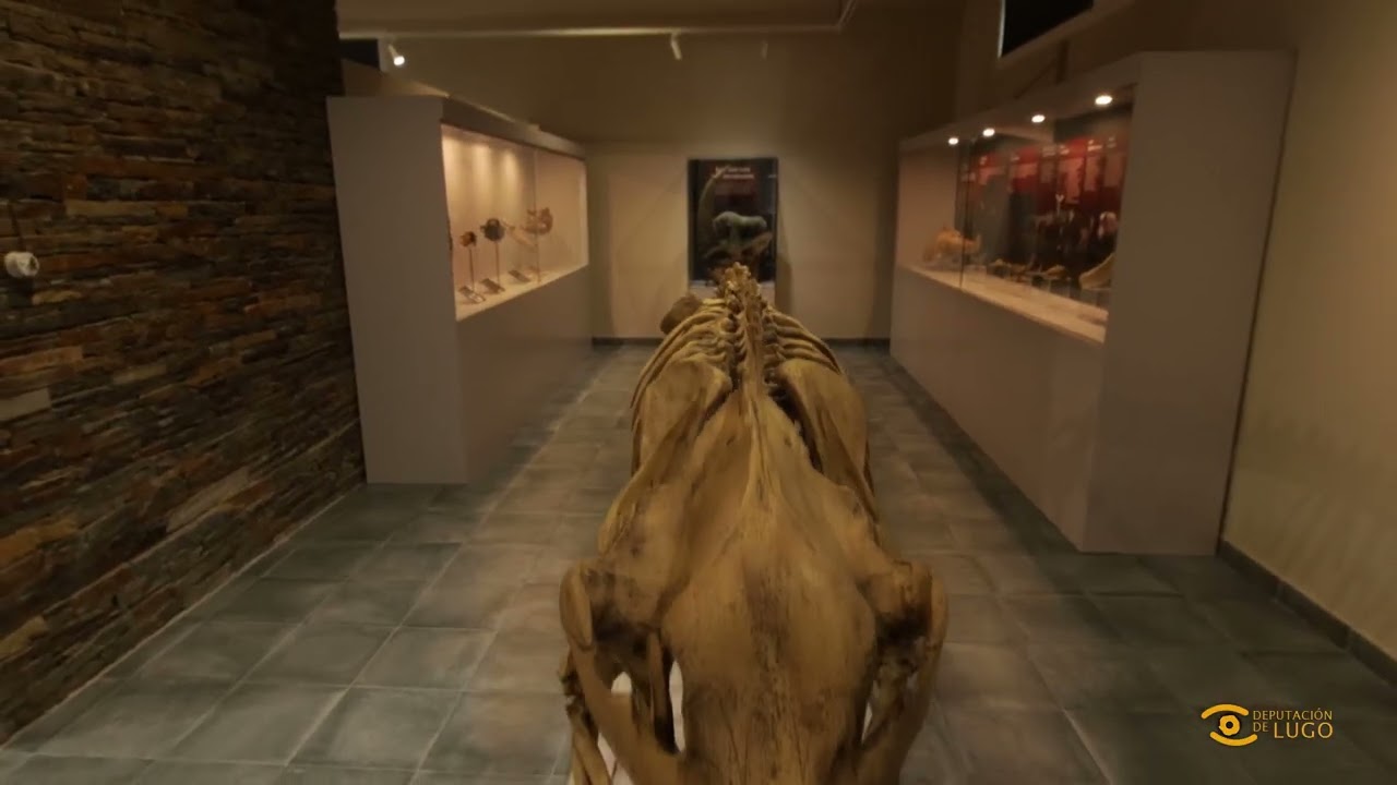 Descubrindo Lugo: Museo Xeolóxico de Quiroga