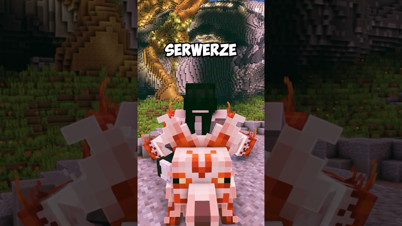 Na jakim SERWERZE ZAGRAĆ?! #minecraftserver #rpg #mmorpg #minecraft