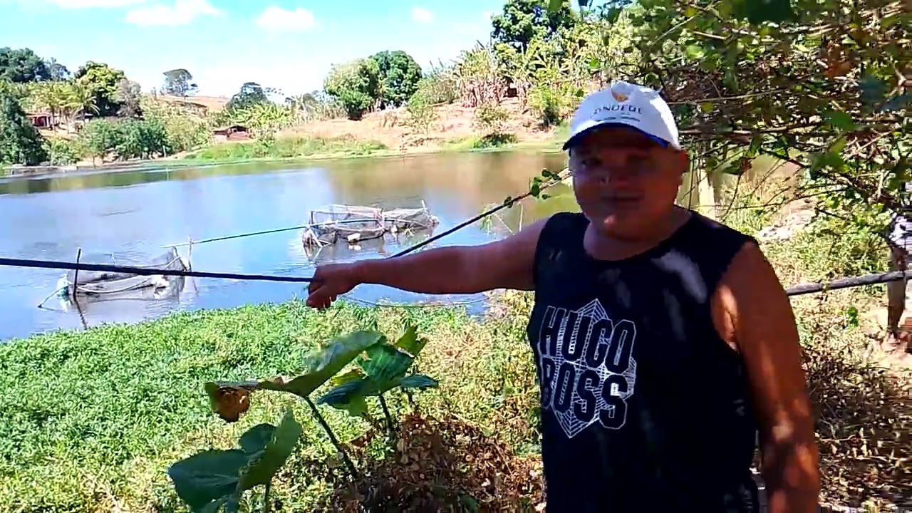 Hoje foi pego muitos peixes nós tanque 