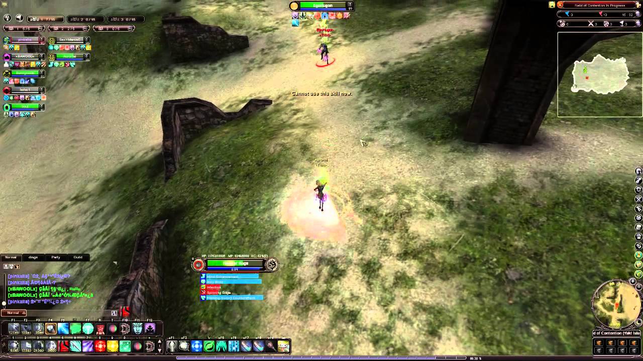 Requiem Rise of The Reaver- Lv 90 Elementalist