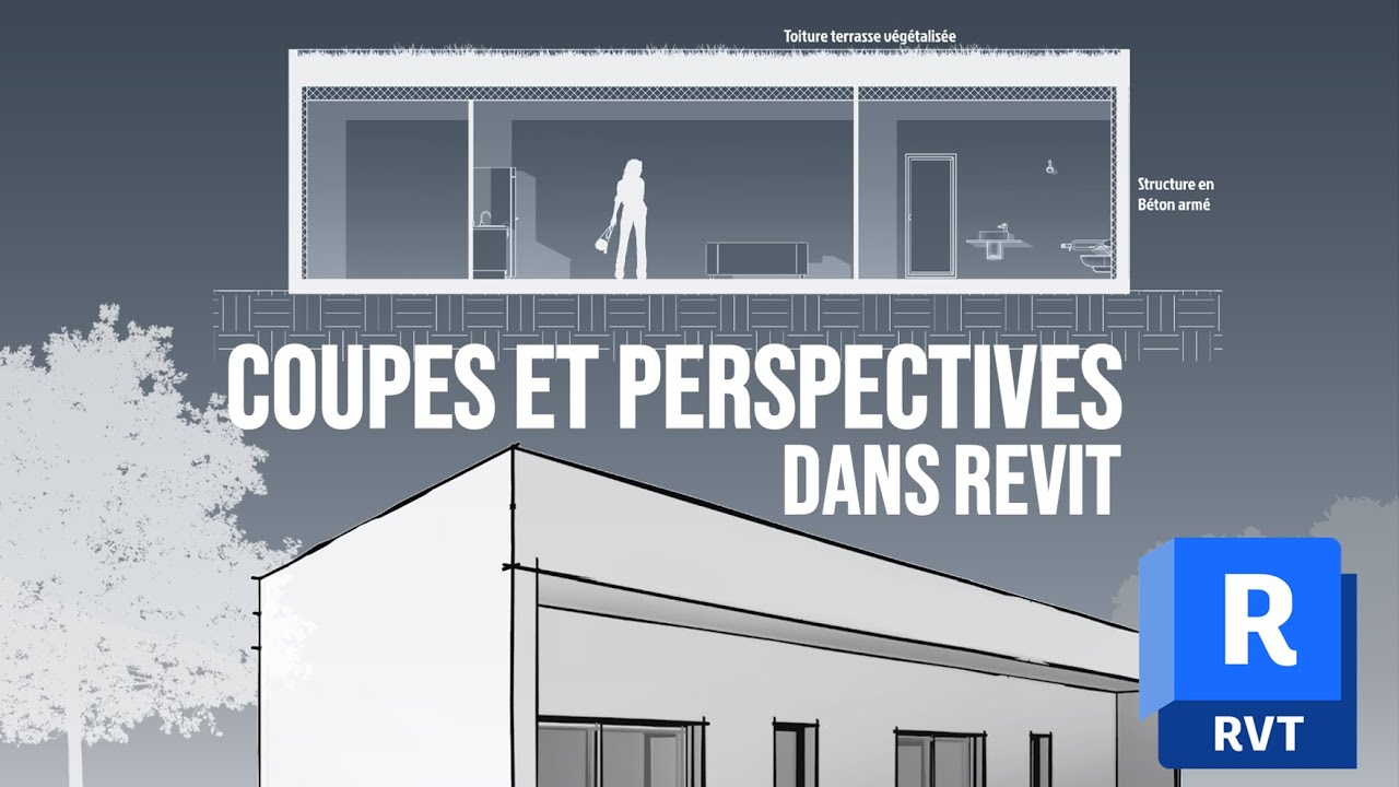 Coupes et Perspectives dans Revit