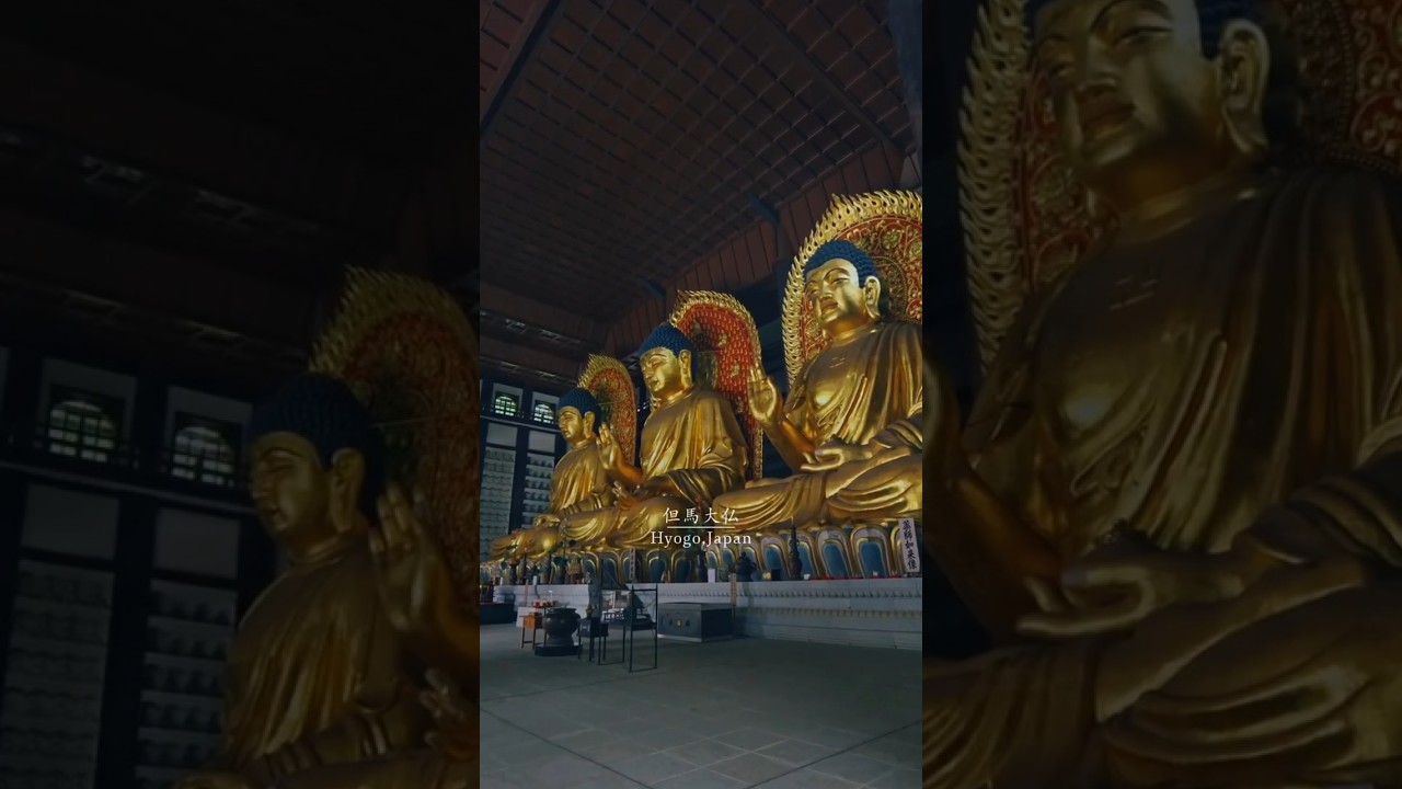 ✨️静寂の山里にそびえる黄金の大仏  / ✨️The golden Buddha towering over a quiet mountain village