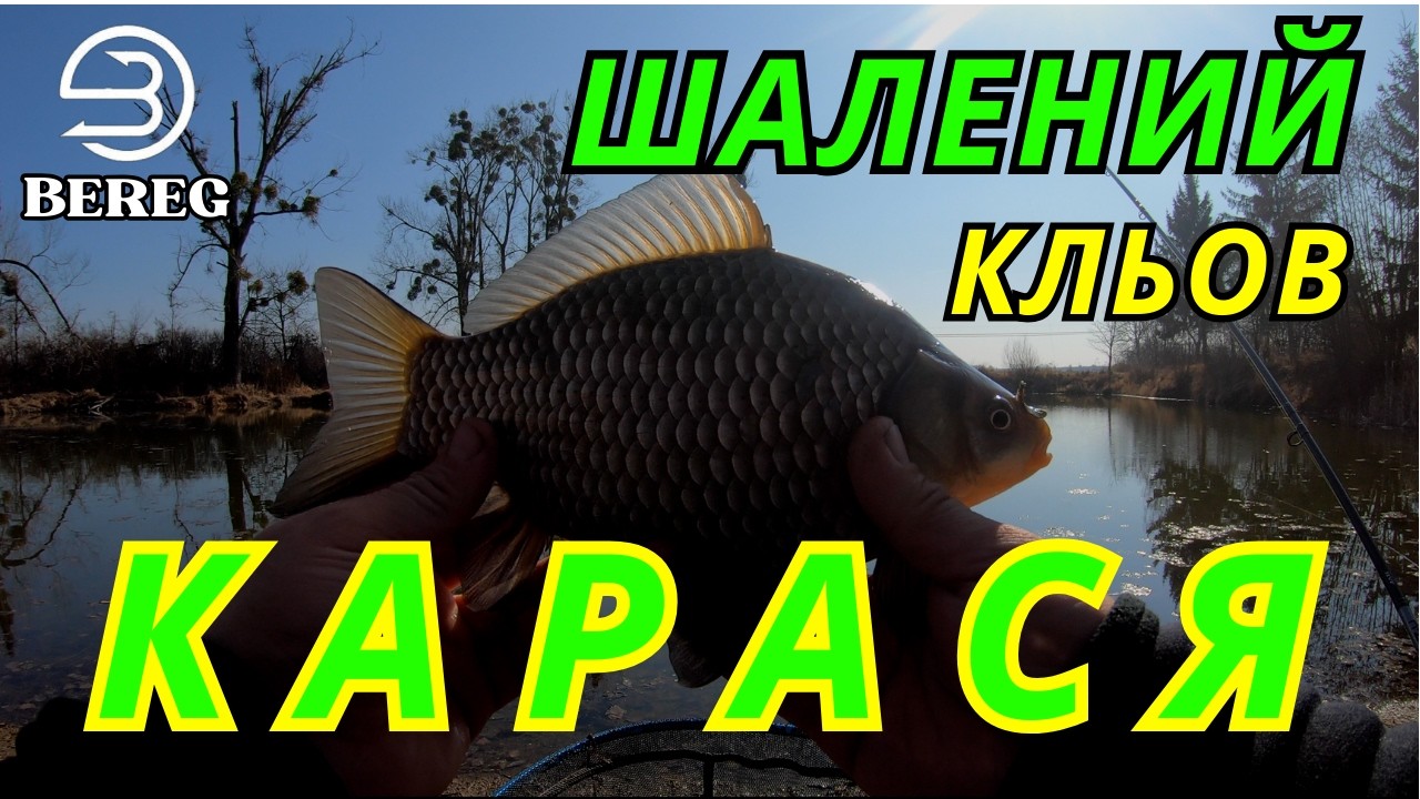 🔥 Метод мовчав, а класичний фідер косив карася! Шалена весняна рибалка 🔥