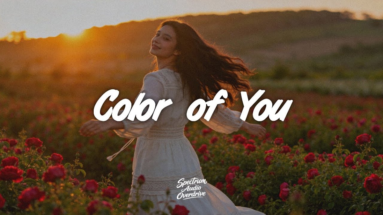 Color Of You – House | Spectrum Audio Overdrive - Sâo Music