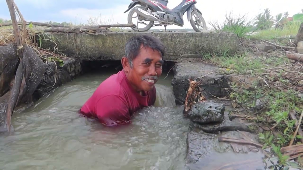 Panen udang dan ular banyak pol