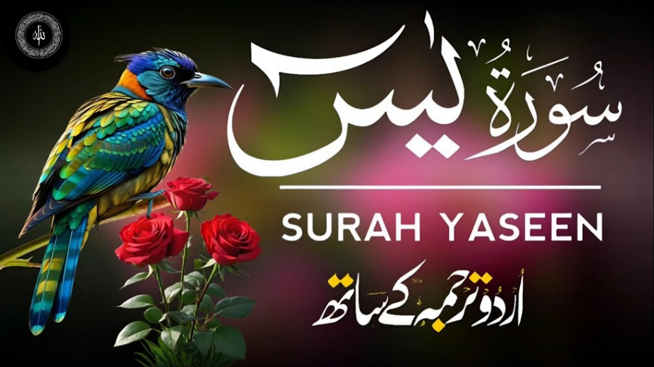 surah yaseen full tilawat tarjuma ke sath •ep3💫