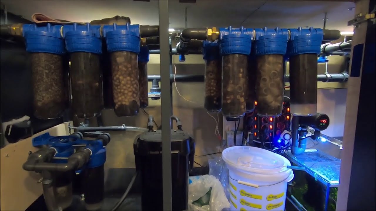 90. Aktualizacja akwarium 720 l, po pół roku.