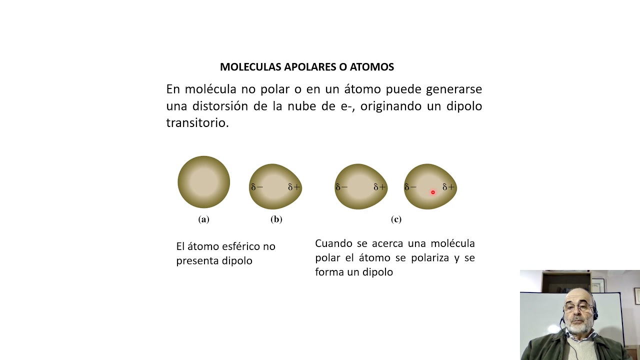 El enlace en la fase condensada parte1 B 2021
