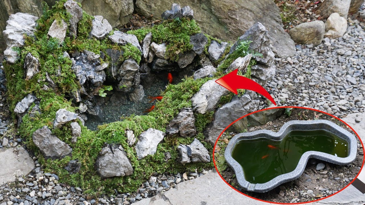 プラ池で金魚が泳ぐ大自然なビオトープを作ってみた