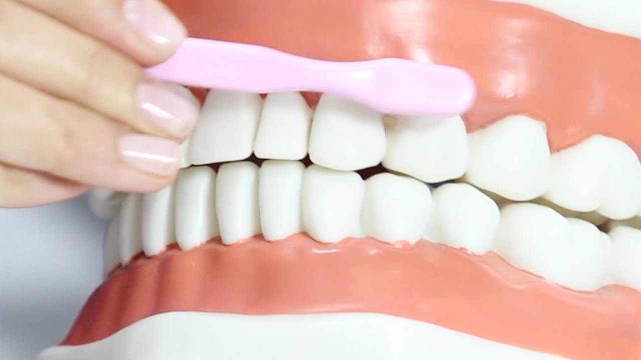 Técnica de cepillado infantil - Cuidados para una boca sana - Sapeando