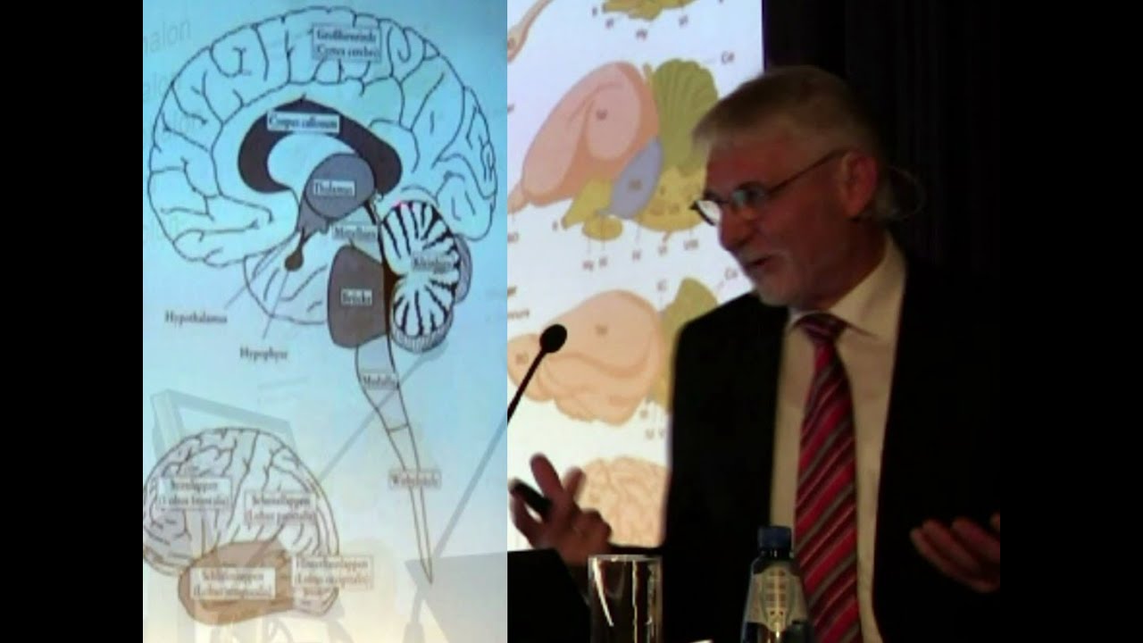 Das Gehirn (1) | Wie einzigartig ist der Mensch? (5)