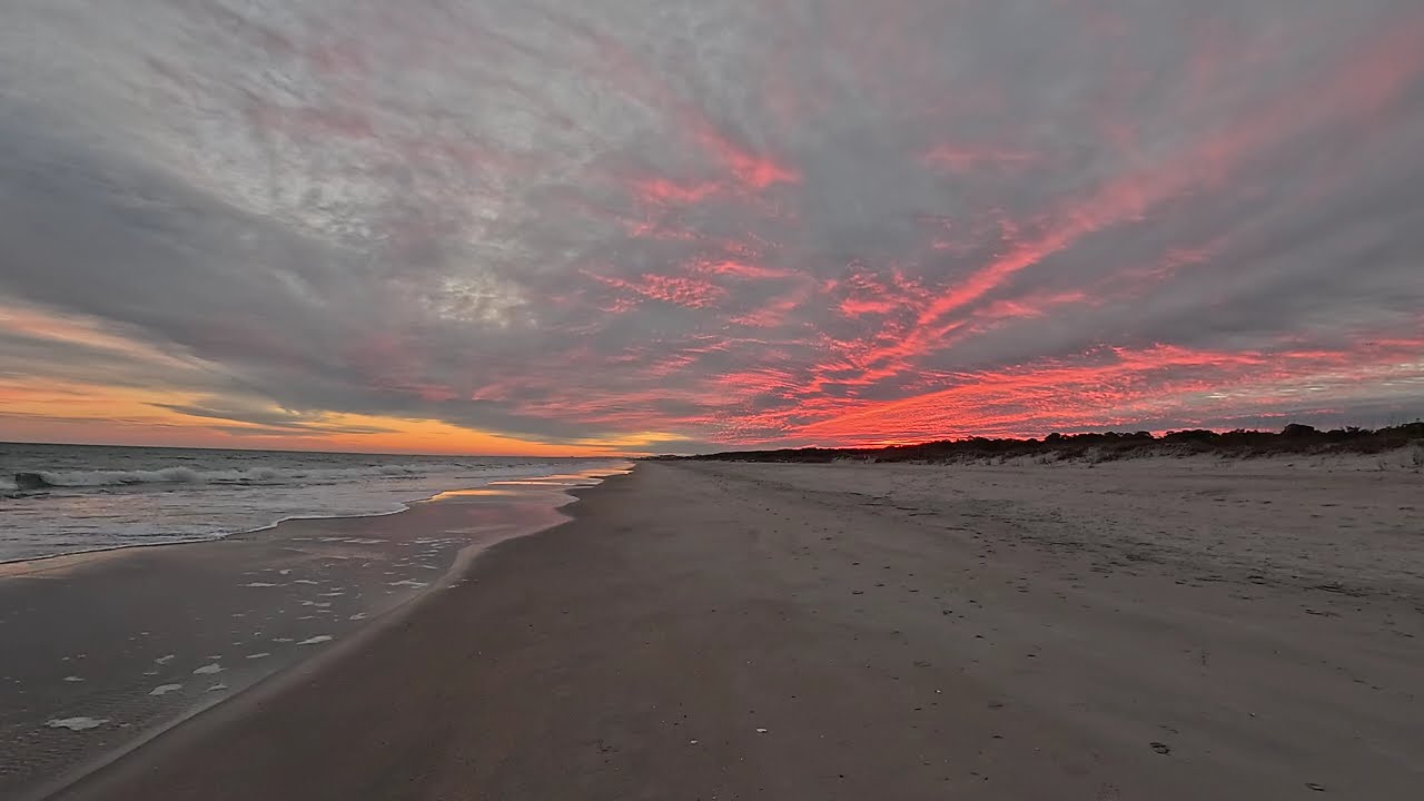Sudden Burst of Pink 20260114 1737: Nature Sounds and Visuals, Calming & Relaxing