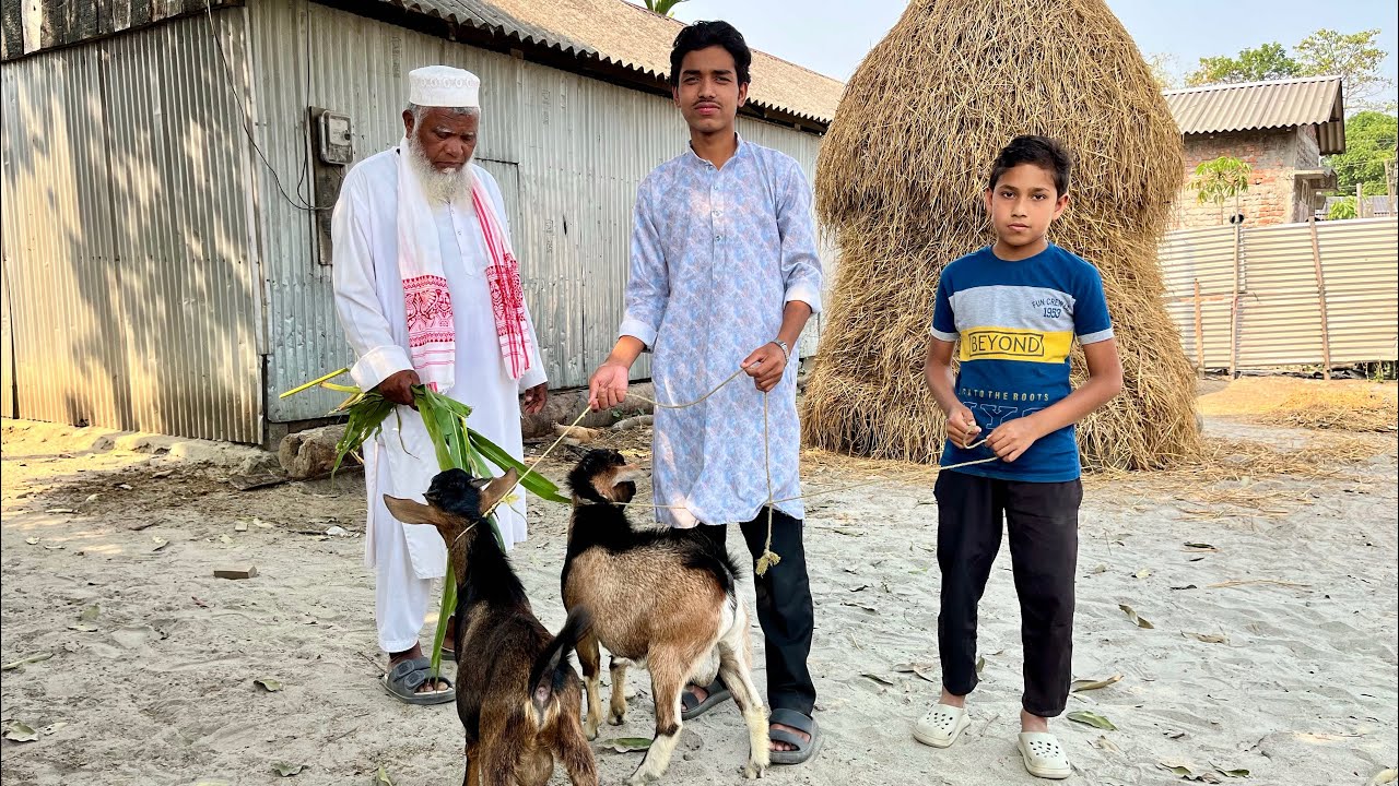 আমরা আইজকা এই 2 ছাগল দিয়া ইফতার করলাম😲||#ajimulsvlog #baglavlog #familyvlog #trendingvlogs #ytvlogs
