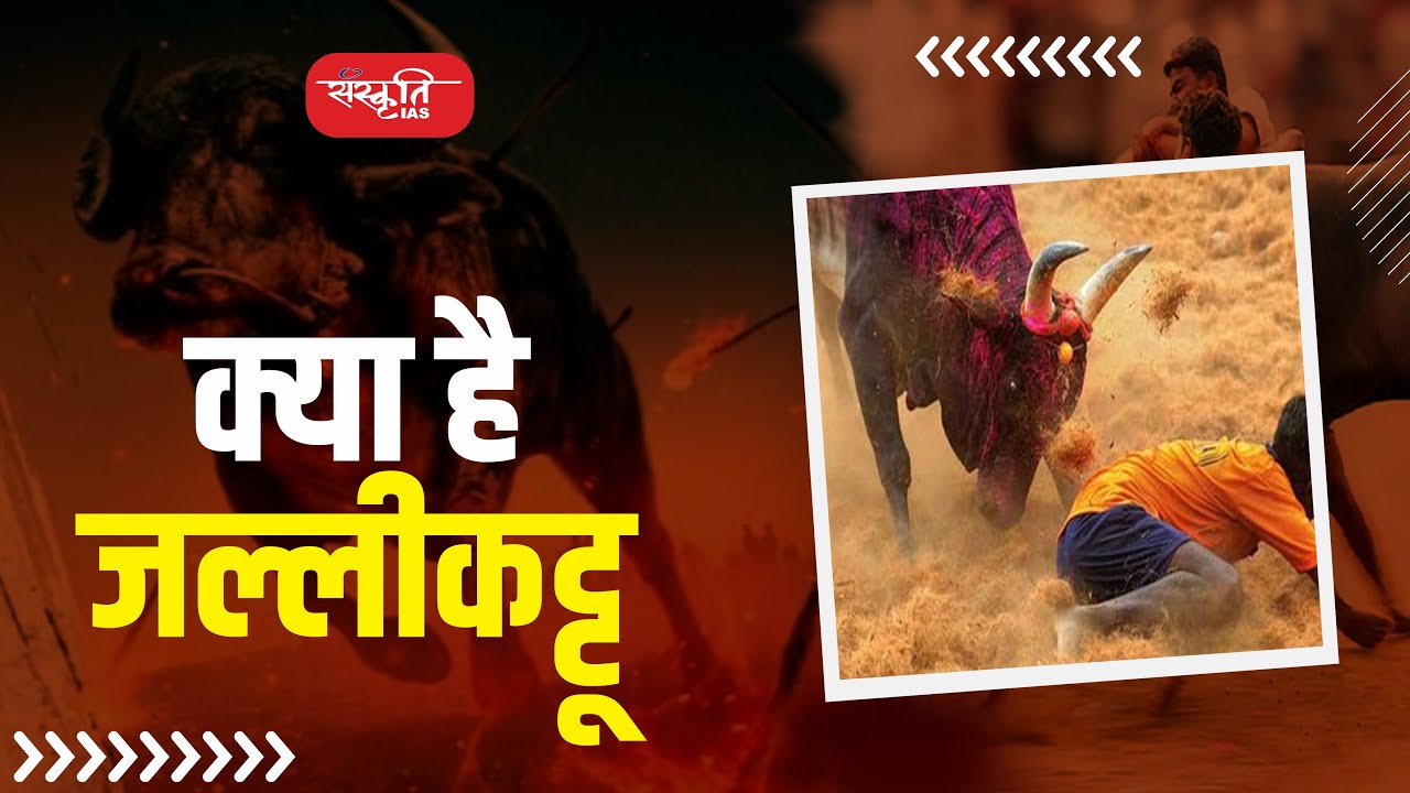 What is Jallikattu or Manju Virattu? | जलिकट्टू या मंजुविरट्टू  क्या है? | Sanskriti IAS