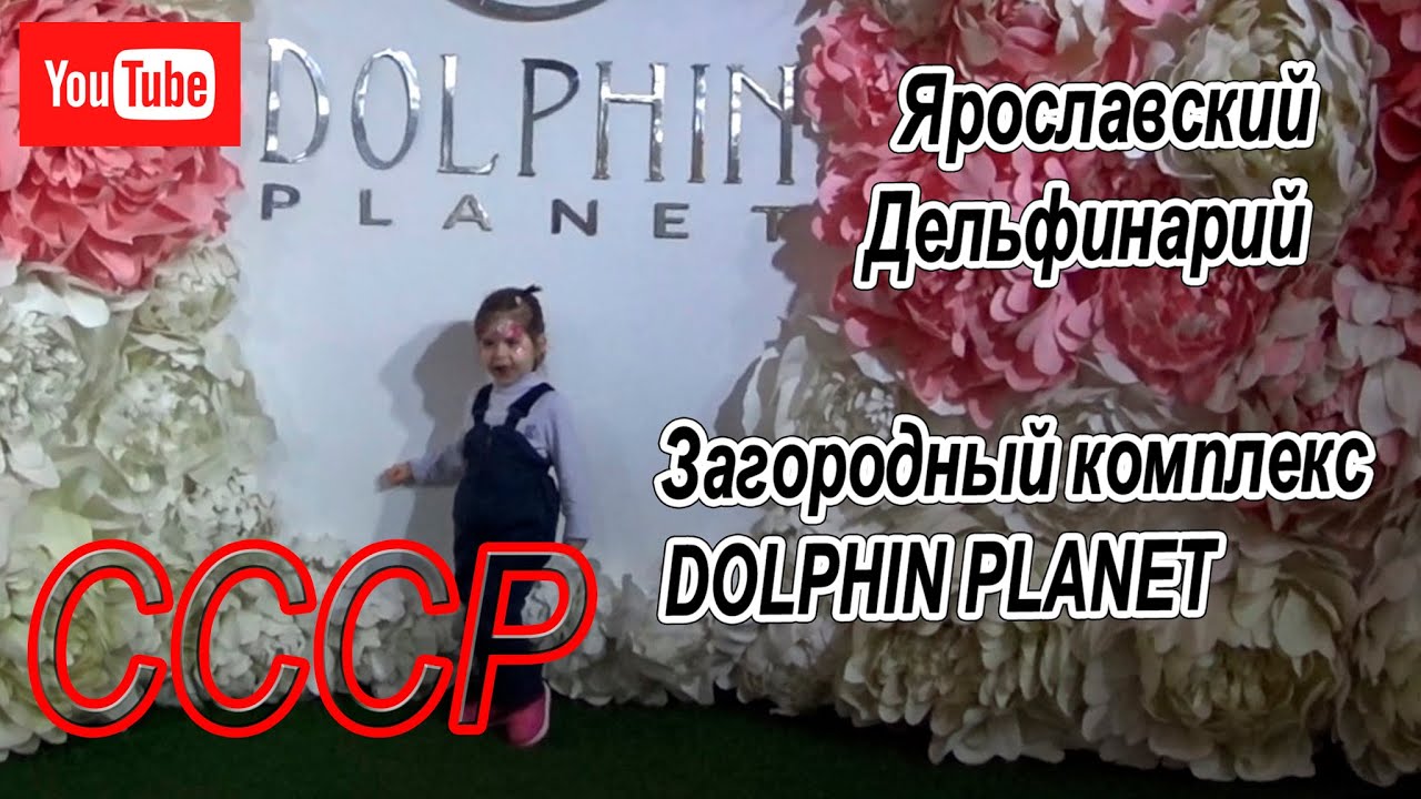 Ярославский дельфинарий. Загородный комплекс  DOLPHIN PLANET