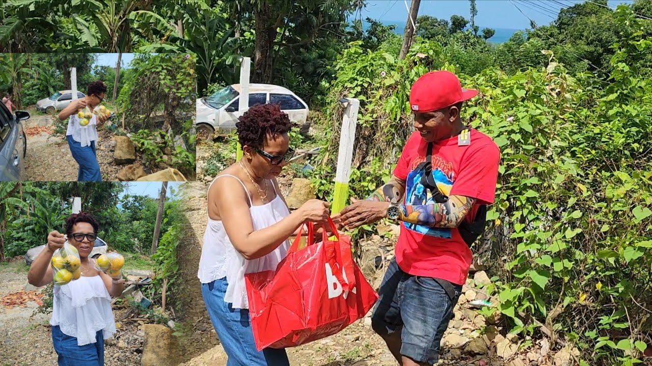More subscribers from overseas visit farmerman on Jamaica day 🇯🇲🇯🇲