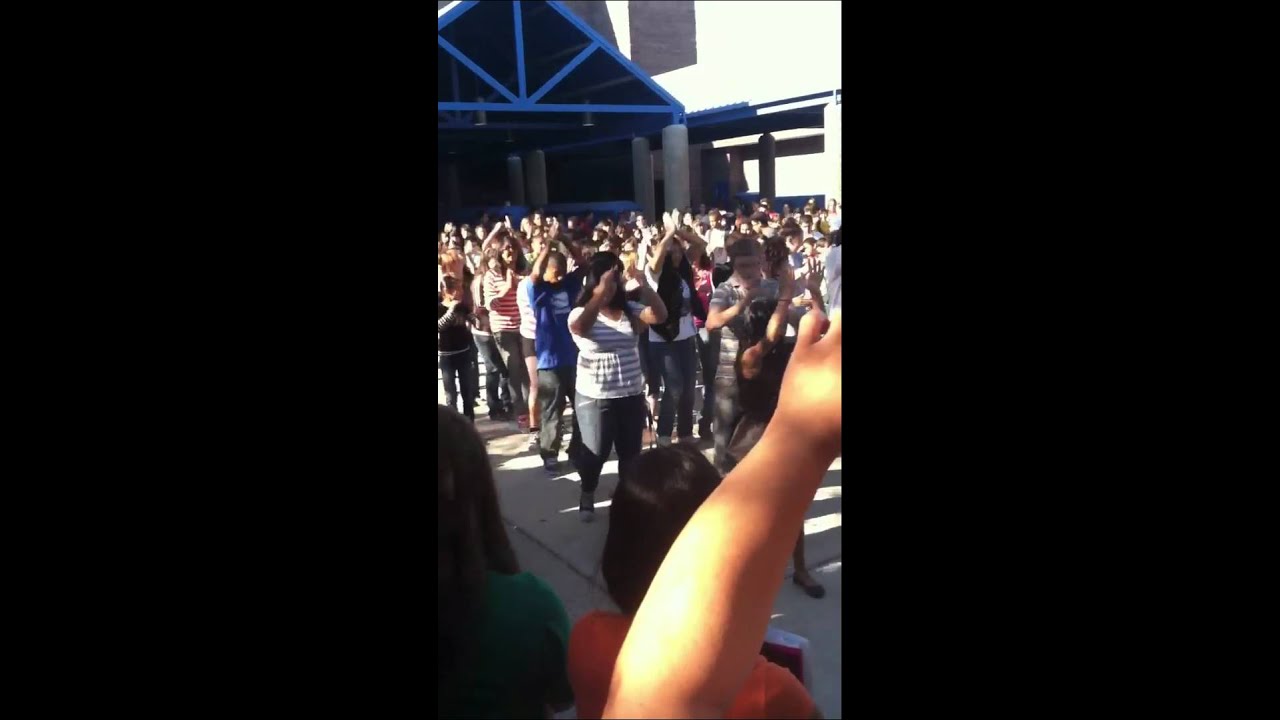 O'Callaghan MS Flash Mob