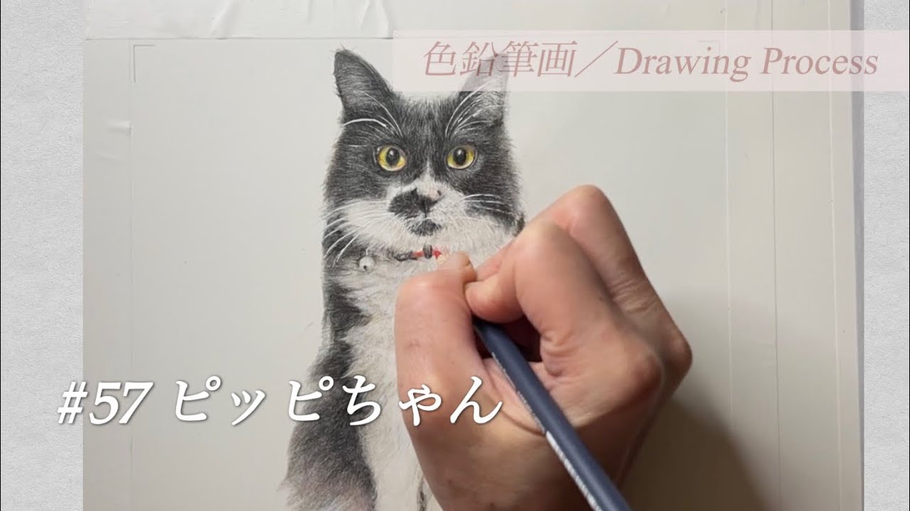 【色鉛筆画 colored pencil drawings】 #57 ピッピちゃん