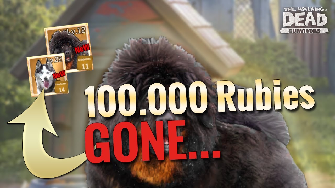 14 Skill Dog | Legendary Dogge | Attention ! multiplier change ! The Walking Dead Survivors
