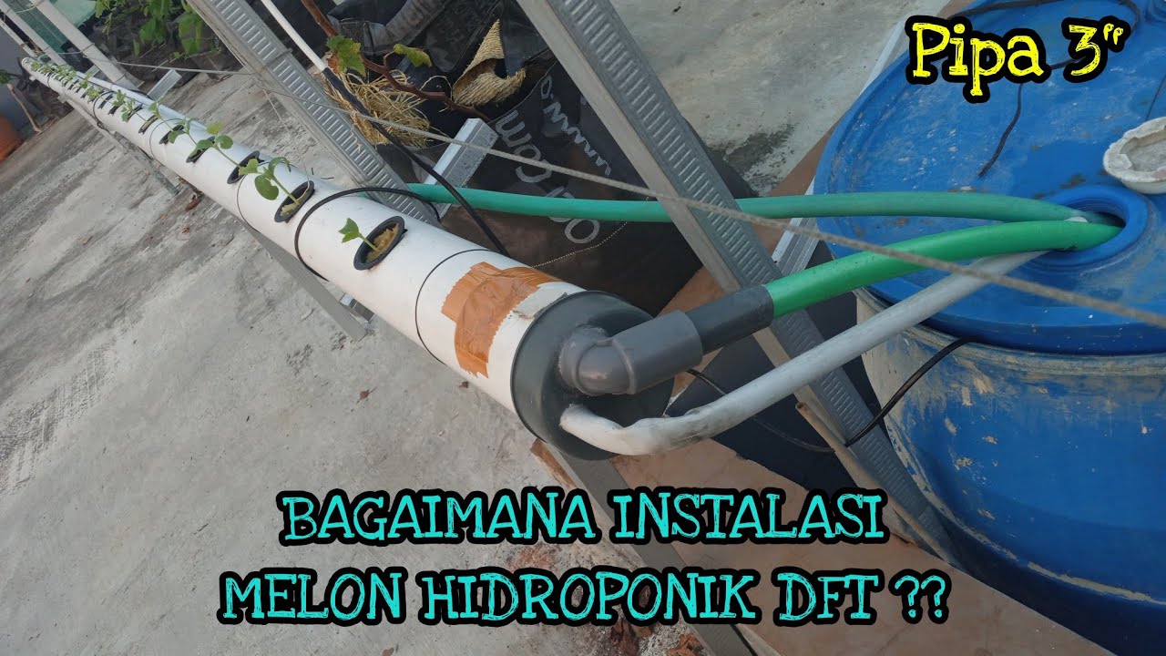 INSTALASI HIDROPONIK MELON SISTEM DFT SEDERHANA MURAH MERIAH