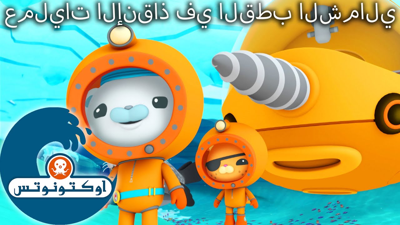 أوكتونوتس | 🐻‍❄️ عمليات الإنقاذ في القطب الشمالي ⛑️ | حلقات مجمعة