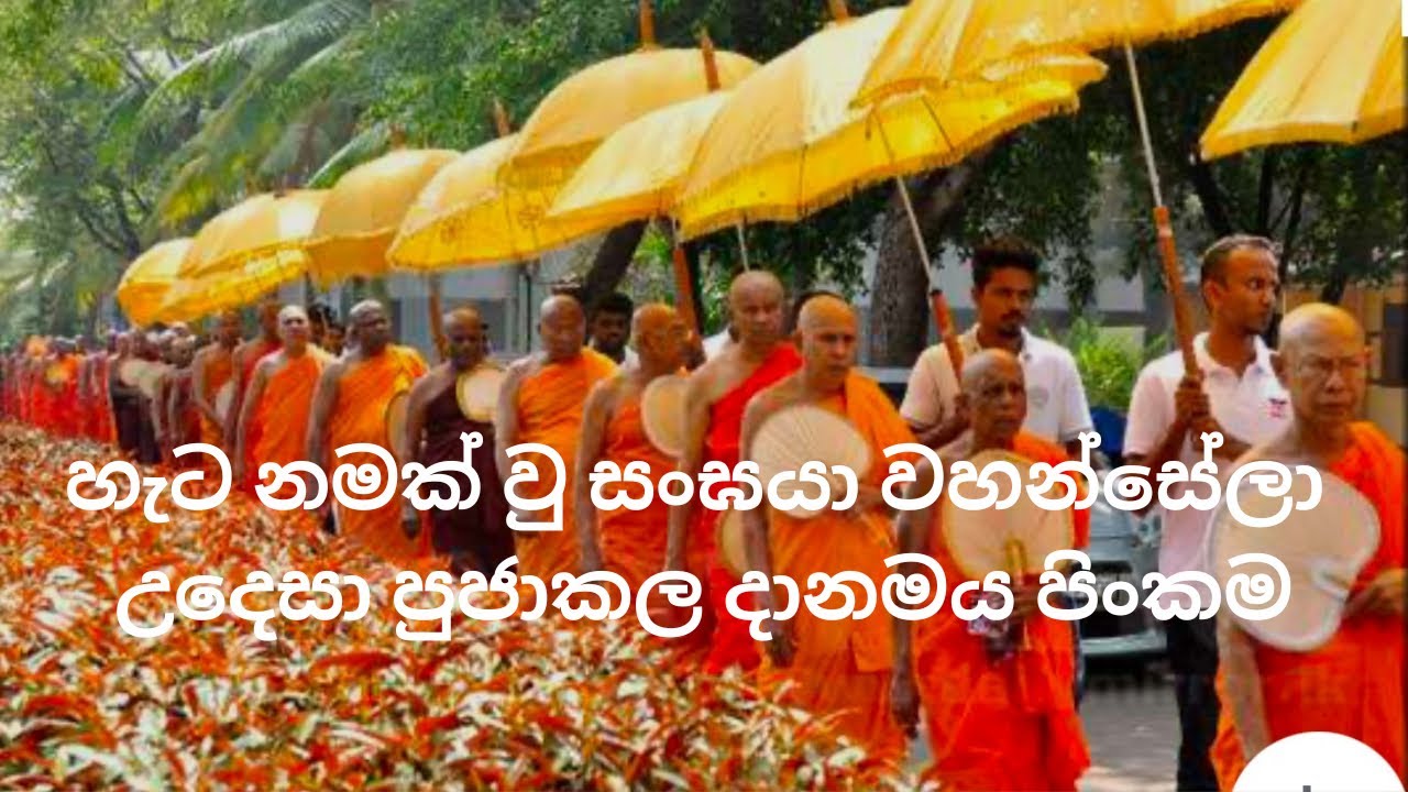 60 Monks Dāna Ceremony | Village Temple Pinkama | Blessed Day in Sri Lanka 🇱🇰