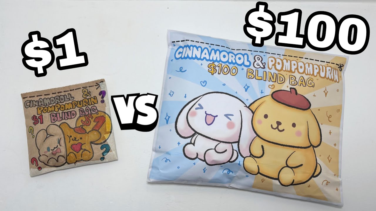 $1 vs $100 Cinamoroll & Pompompurin Blind Bag | Sanrio Paper craft | JelamieneChan