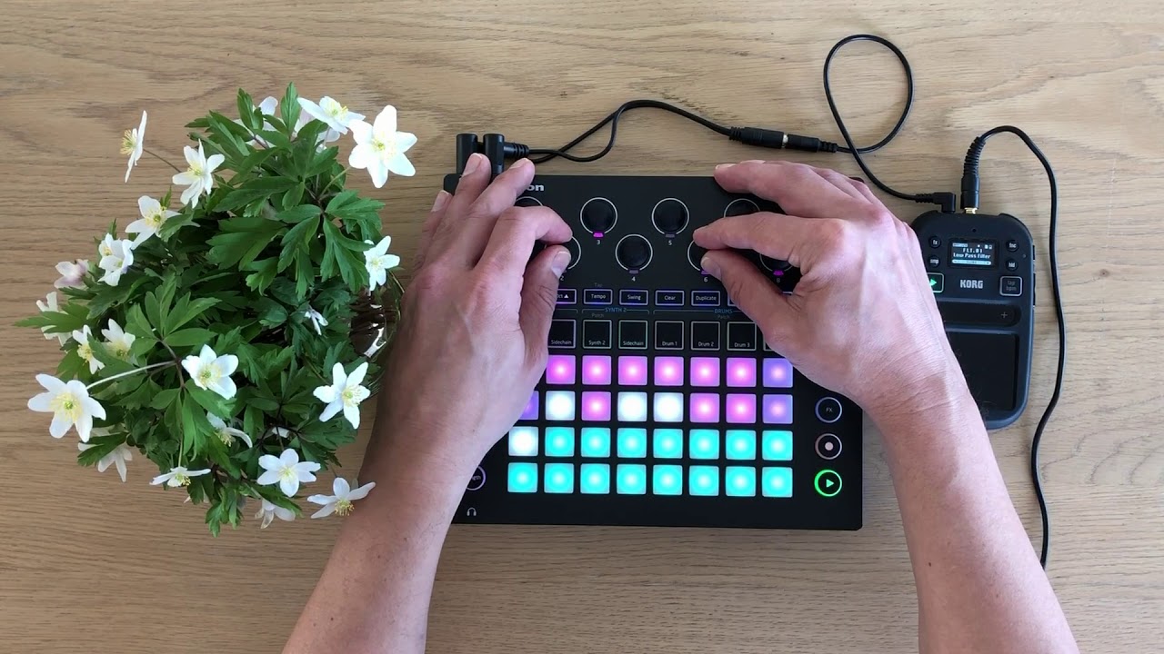 Circuit Arp & Ratchet by Waveformer - Novation Circuit