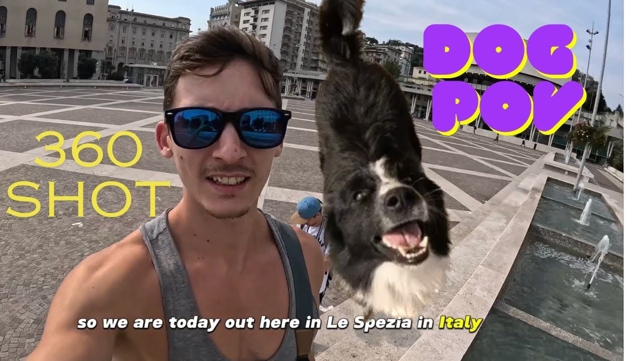 Dog Parkour POV and 360