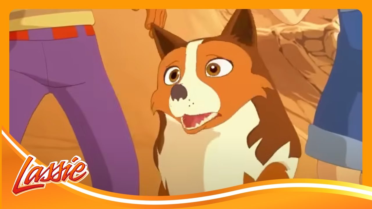 🐶 Helping a Scared Puppy Find Her Courage and More Cartoons for Kids | Lassie Episode Compilation