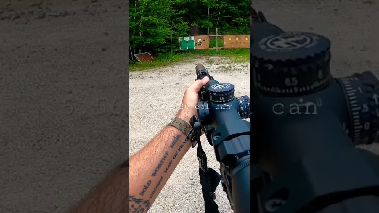 5.56 pairs well with a .30 caliber suppressor.  Almost as quiet as a dedicated 5.56 can.