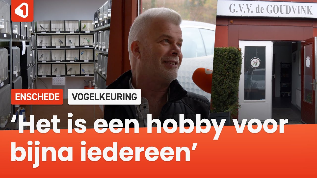 Driehonderd vogels geshowd bij De Goudvink in Glanerbrug na een officiële keuring