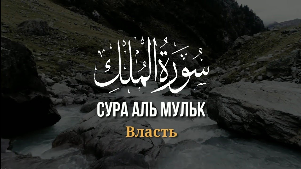 Тарик Мухаммад Сура Аль-Мульк القرآن الكريم