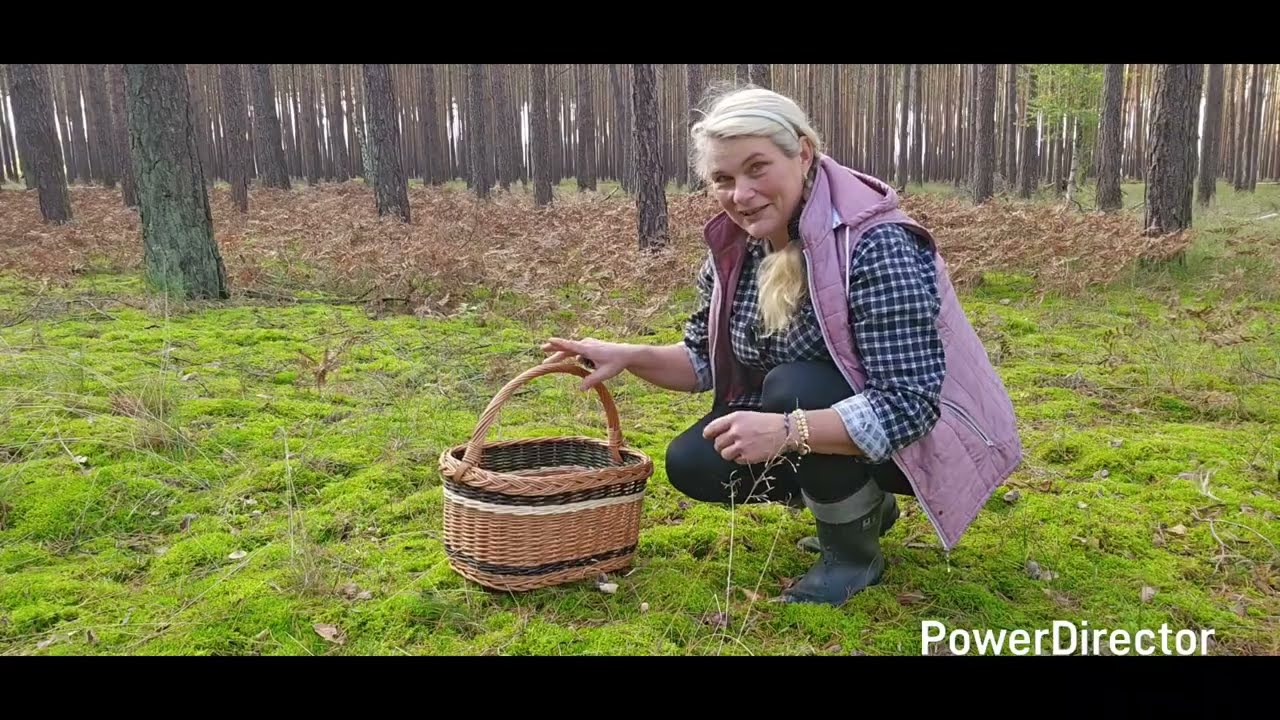 Grzybowy raj - szok jakie podgrzybki 