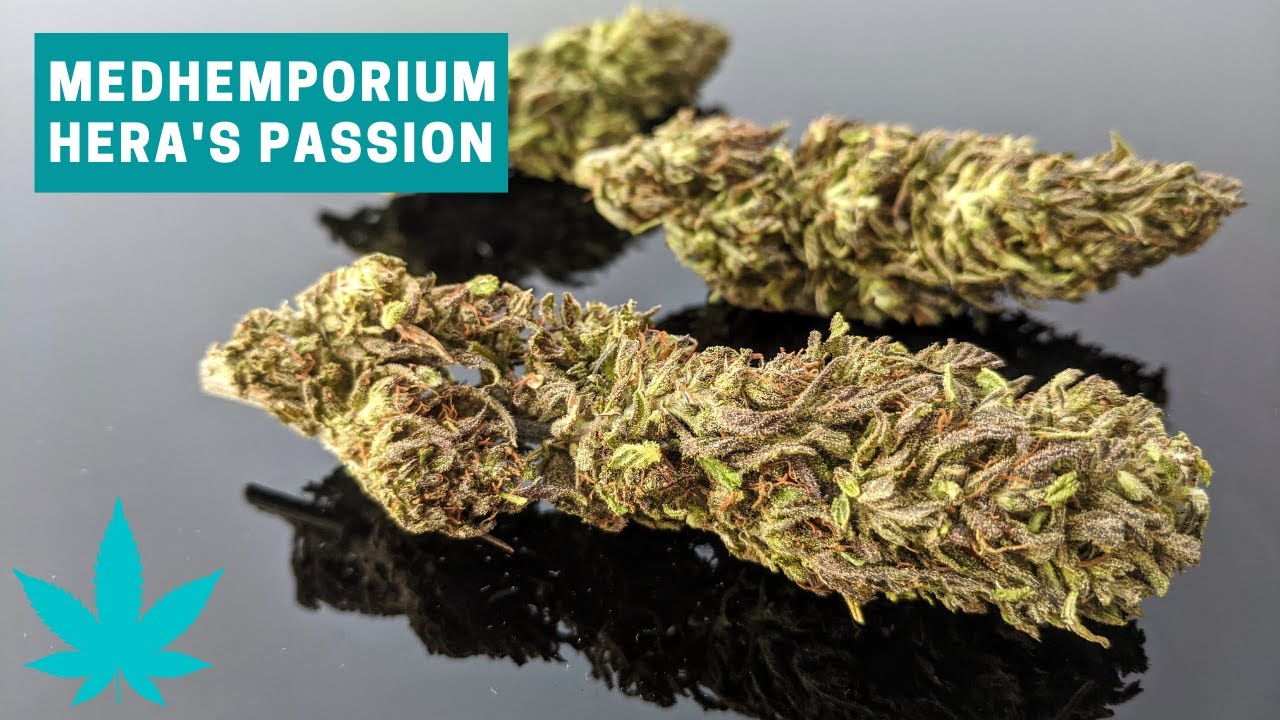 Hera's Passion CBD Hemp Bud Review (Medhemporium)