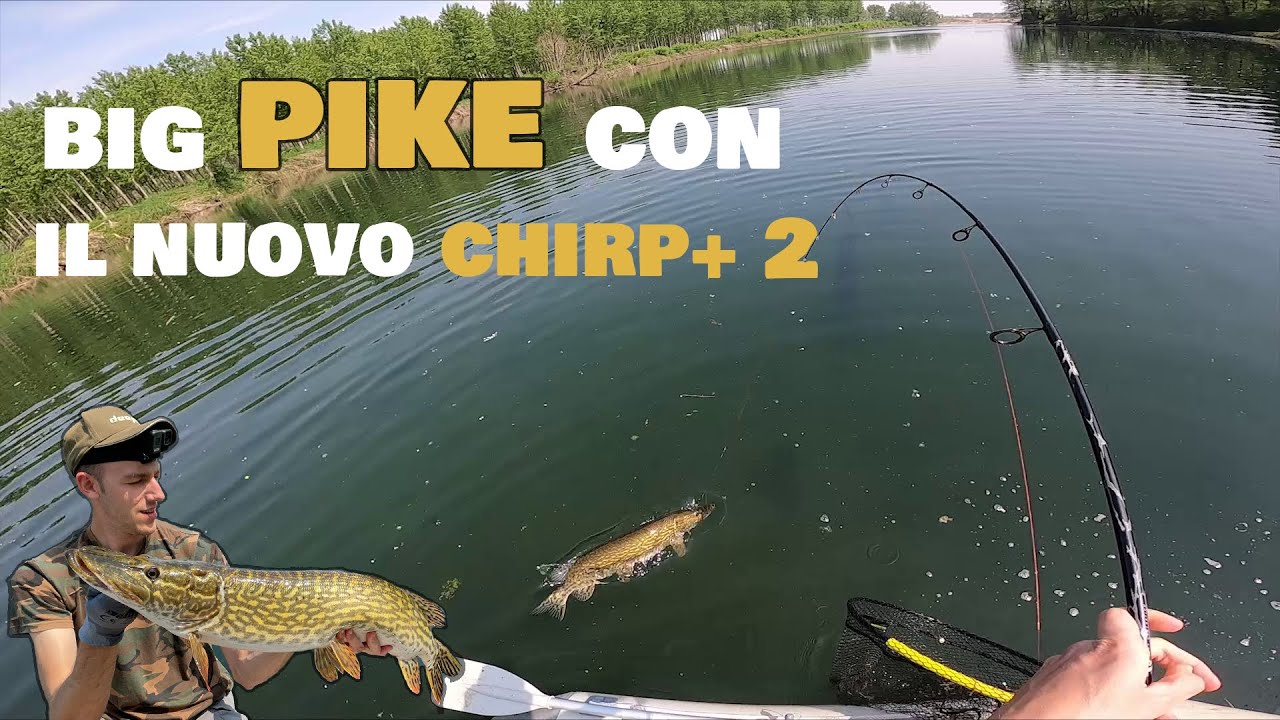 Big PIKE con il nuovo CHIRP+ 2 (spinning al LUCCIO dal gommone)