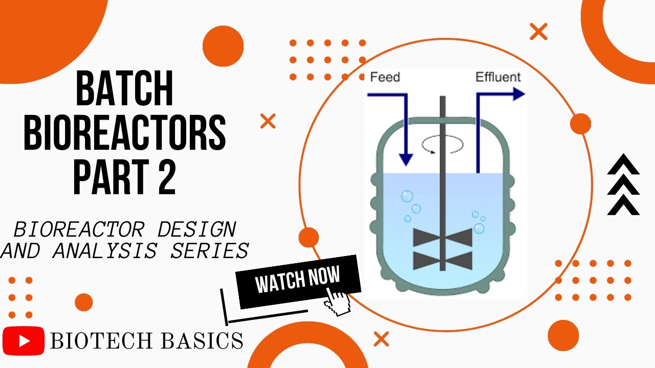 Batch Bioreactors Part 2 || Bioreactor Design and Analysis || Bioprocess Engineering || GATE Biotech