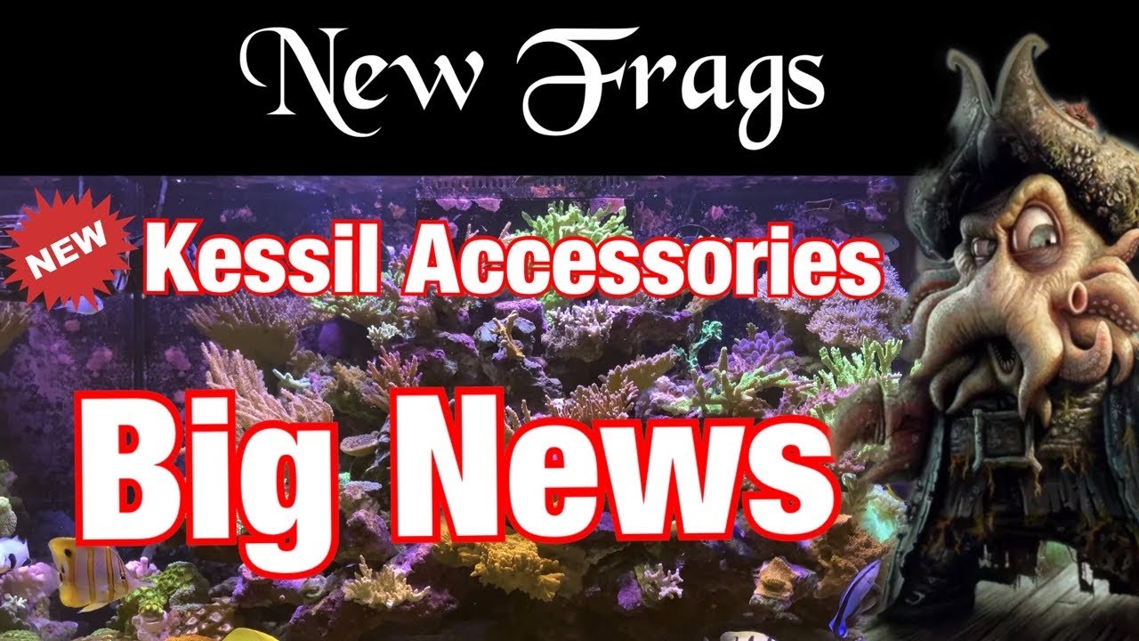 Reef Aquarium - eaReef Pro 900 - Episode 78 - New Frags / Big News