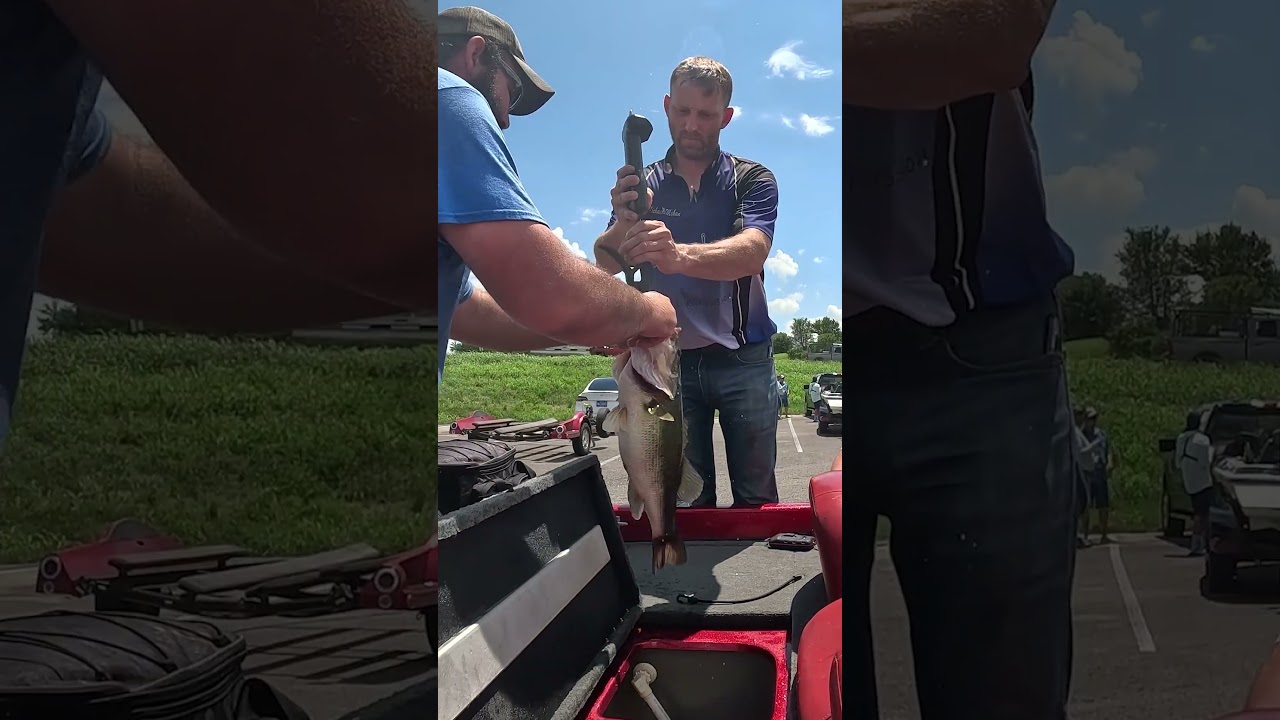 THEY SHOWED US SOME GIANTS!!! #fishing #tournamentfishing