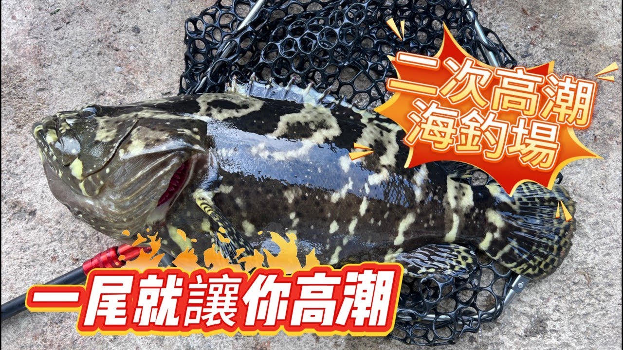 一尾就讓你高潮呀~~今天來到八里新開的 #2次高潮海釣場 ，開場就讓你差點斷竿，還好文正哥的 #文正水世界 S350夠力，不然我應該就被強姦了