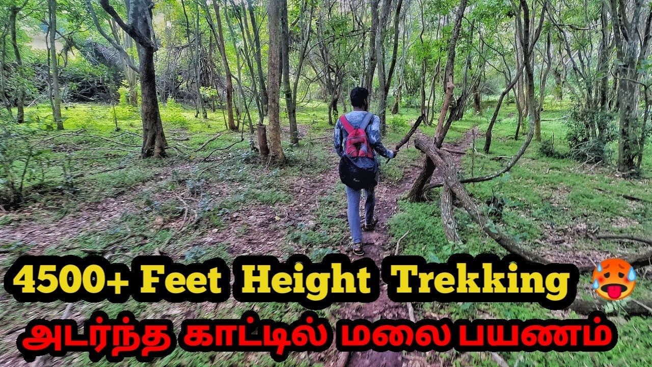 வாசிமலையான் மலை பயணம் | Tamilnavigation
