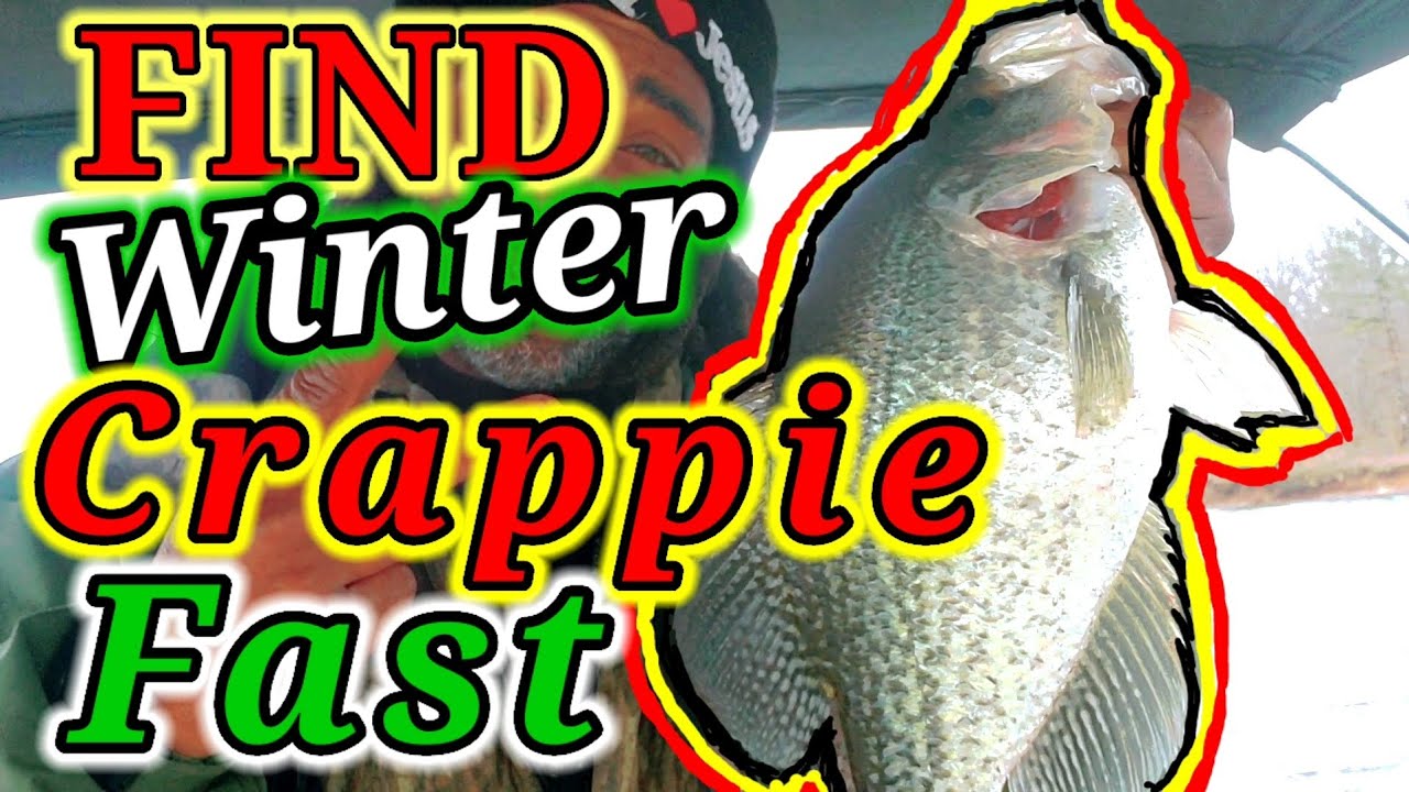 WINTER CRAPPIE LIVESCOPE FISHING  SECRET BANK TIPS FIND CRAPPIE IN JANUARY FAST