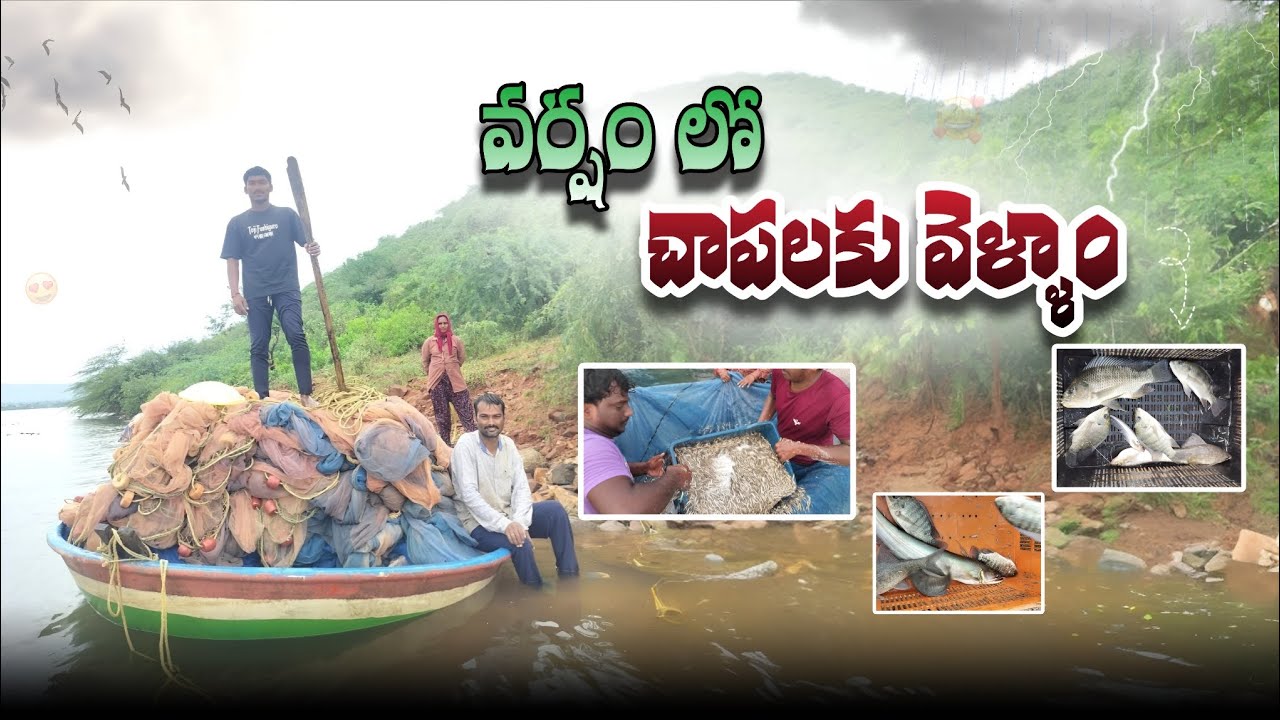 వర్షం లో మా భాధలు చుడండి ఫ్రెండ్స్ 🌧️|| fishing in heavy rain #fishing #vlogs #nature #viralvideos 