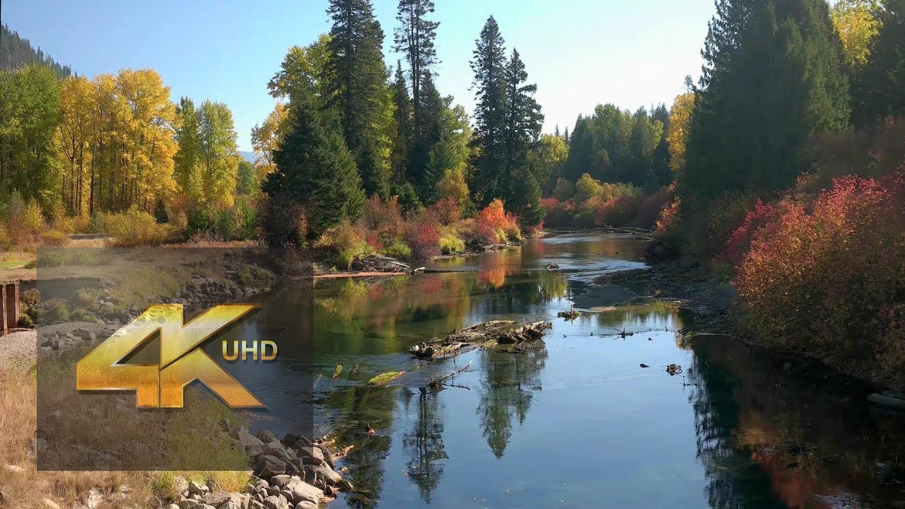 Autumn Foliage near Lake Wenatchee 20181014 4K UHD