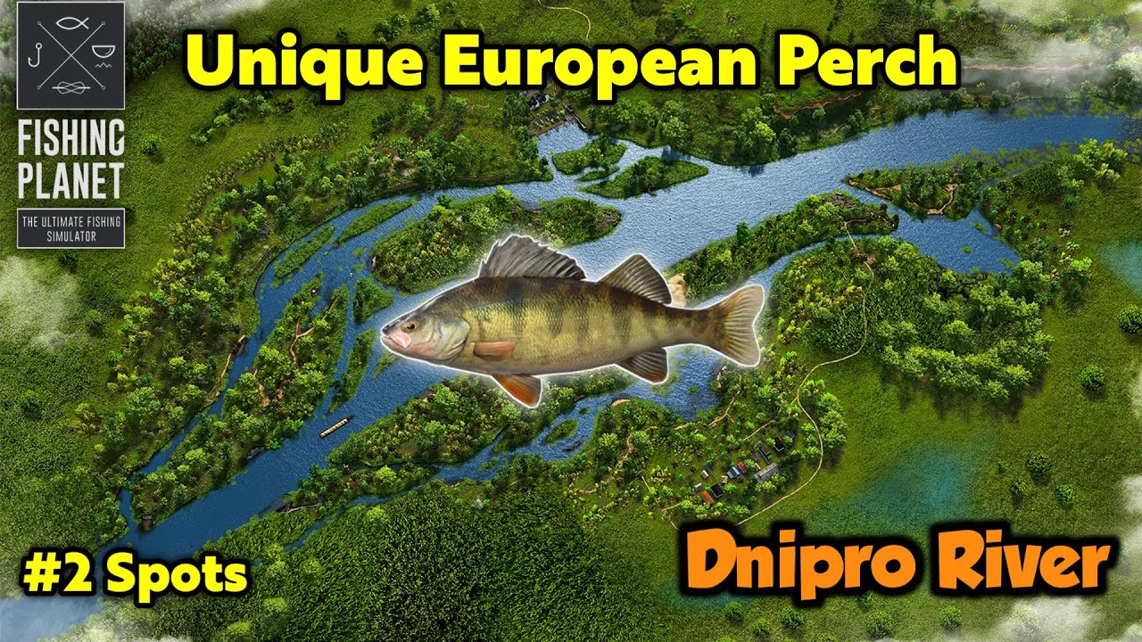 Unique European Perch Dnipro River - Fishing Planet