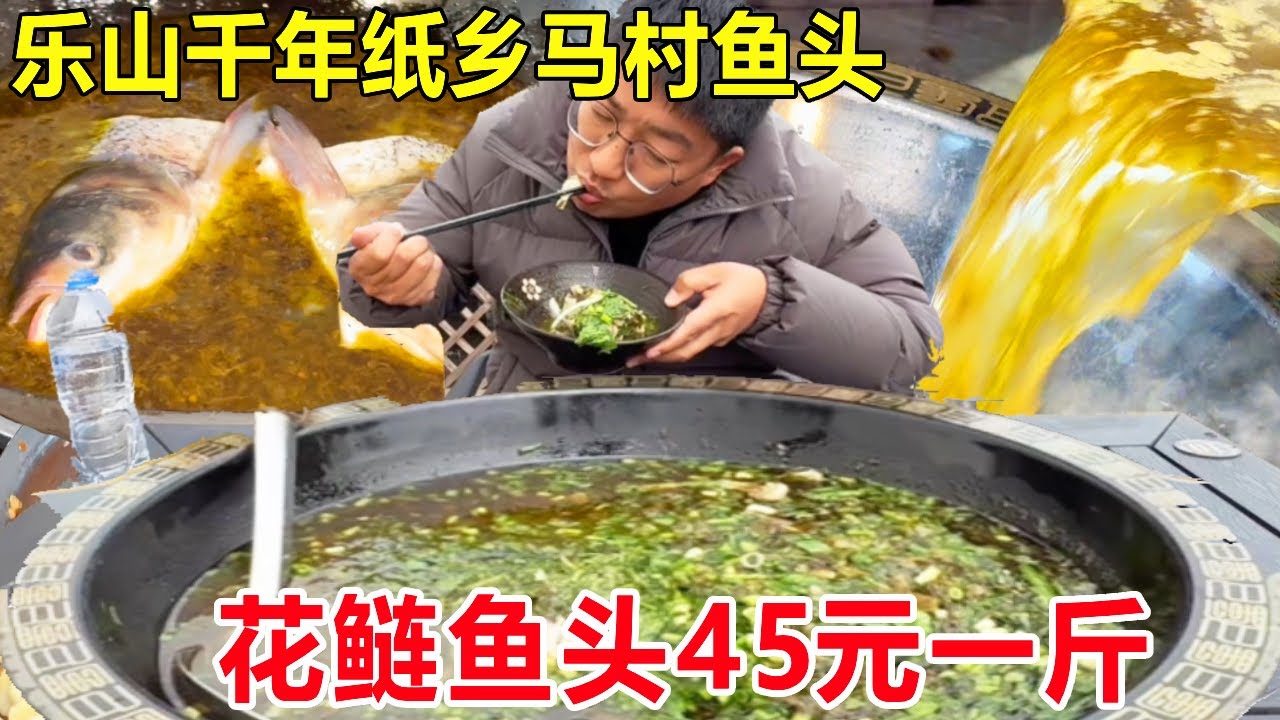 乐山千年纸乡马村鱼头，花鲢鱼头45元一斤，传闻是张大千的最爱#麦总去哪吃